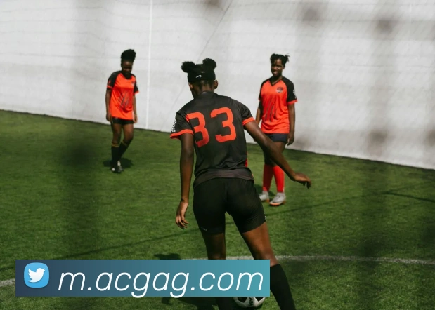 ag官网服务体系